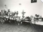 Выставка цветов кировских садоводов. 23-24 августа 1980 г. Из альбома Чудиновских Елены Николаевны