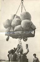 Погрузка мешков с шерстью перед отправкой в Сталинград