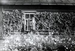 А.Б. Рудобельский у виноградника около дома по адресу: г. Вятка, улица Володарского, д. 151. 10 августа 1934 г.  (Ф. Р-6983. Оп. 2. Д. 22)